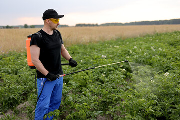 Agronomist in protective glasses and gloves with mist sprayer treats blooming potato plantation from pests, colorado beetle and fungus infection. Harvest processing. Protection and care agriculture - obrazy, fototapety, plakaty