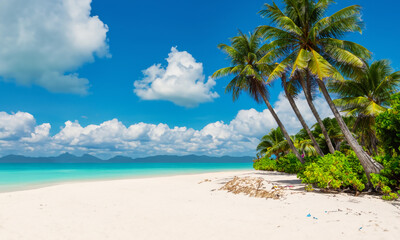 Fototapeta na wymiar Landscape with coconut trees and sea on a beautiful beach.