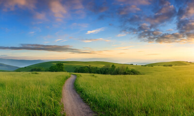 Obraz premium Dirt road in a natural forest. Conceptual idea of ​​way to the future.