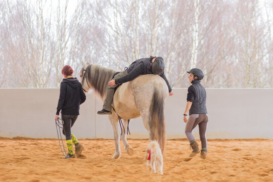 Equine-assisted therapy with medical disability patient on equestrian riding hall.