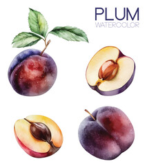 Plum watercolor paint