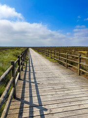 Obraz premium Pathway view of rural landscape