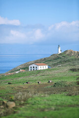 Fototapeta na wymiar Channel Islands National Park