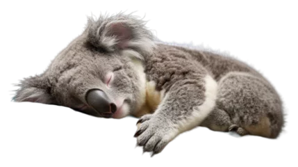 Foto op Plexiglas Peaceful Koala Sleep - Transparent Background © Emojibb.Family