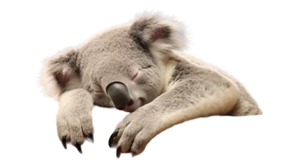 Raamstickers Peaceful Koala Sleep - Transparent Background © Emojibb.Family