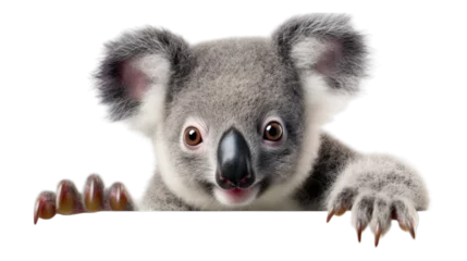 Fotobehang Playful Koala Paws - Transparent Background © Emojibb.Family