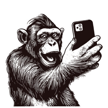 funny monkey taking a selfie sketch