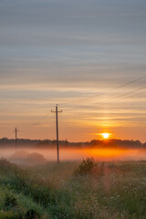 Obraz premium Poles of power lines in dense fog on a meadow against the backdrop of the rising sun on a summer morning.
