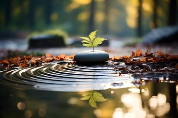 Foto op Plexiglas Bright light green young plant growing out of a stone by the water in autumn forest, peaceful zen buddhism influenced atmosphere, created with Generative AI Technology © MindShiftMasteryHub