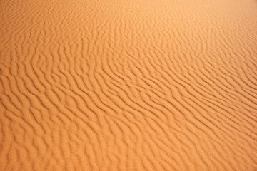 Fototapeta na wymiar サハラ砂漠の風紋