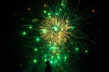 Beautiful green fireworks at night. Selective focus. 