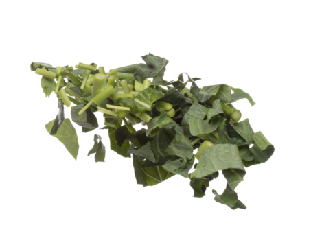Kale fly fall mid air, green fresh vegetable chinese kale cut chop slice. Organic fresh vegetable with eaten leaf of chinese kale, heap close up texture. White background isolated freeze motion