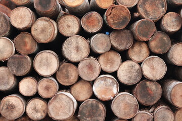 pile of coconut tree trunks, which are arranged to look neat