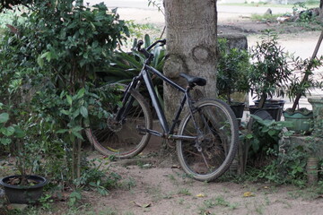 Fototapeta na wymiar abandoned bicycle in the garden