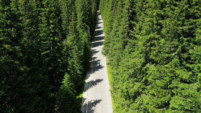 A drone following a girl cyclist riding on a road through a spruce forest. Cycling adventure in Bucegi National Park. Female cyclist is training on empty mountain road. Sport motivation video.