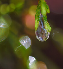 drop of water