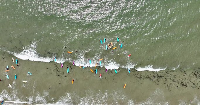 Multicoloured surfboards in the water off the shore 4k