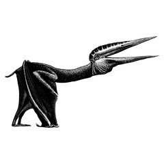 Thanatosdrakon hand drawing vector isolated on background. © tya studio