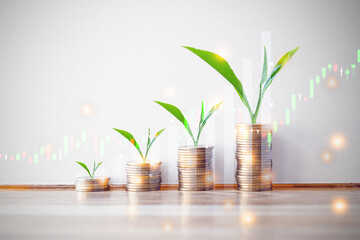 Plant on coin stack growing and Family icon over green bokeh background,investment and Save Money concept.
