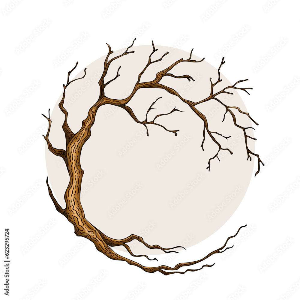 Wall mural circle tree bare, leafless tree with empty branches
