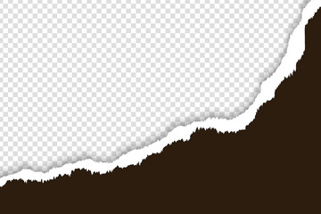 Dark Brown torn paper empty backgroung vector file