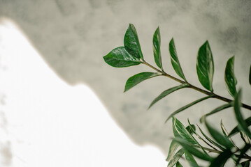 green leaves and gray background