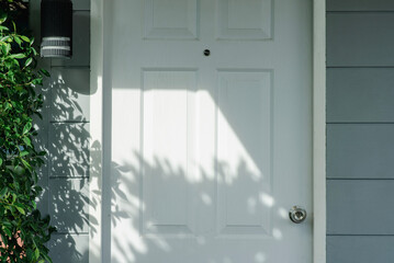 The sunlight shines through the leaves and shadows on the door.