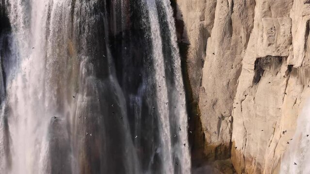 A flock of birds fly past the beautiful Shoshone Falls on the Snake River in Twin Falls Idaho. Slow Motion.