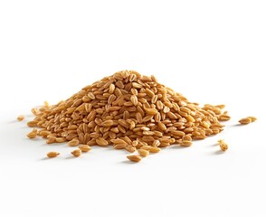 wheat grain on white background