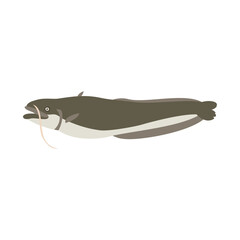 ナマズ（マナマズ、ニホンナマズ）。フラットなベクターイラスト。
Japanese common catfish (Amur catfish). Flat designed vector illustration.