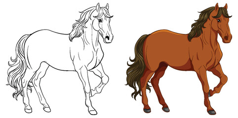 Set of horse and its doodle outline