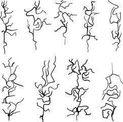 A set of different objects in the form of cracks, dry plants, twigs or roots