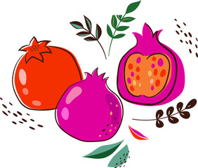 Botanical Background with Pomegranate - Rosh Hashanah Hand Drawn Elements Collection