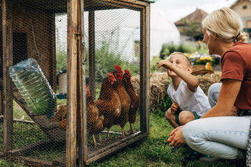 Cheerful boy feeds the chickens with fresh grass. His mother is having fun with him. © cherryandbees