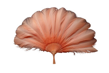 Burlesque feather fan . isolated object, transparent background © dataimasu