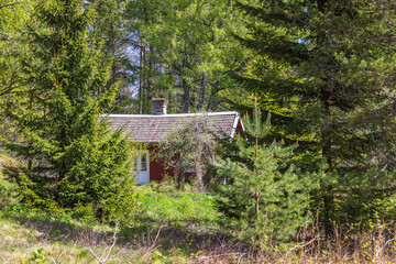 Little red cottage in the forest