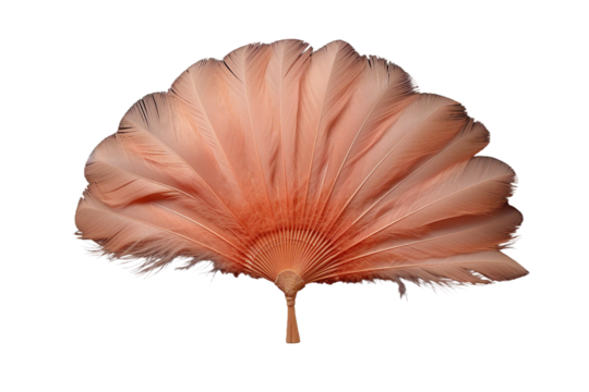 Burlesque feather fan . isolated object, transparent background