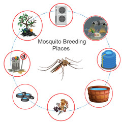 Mosquito breeding places include stagnant water sources like ponds, puddles, and containers. Eliminating these breeding grounds helps prevent their reproduction and the spread of diseases. - obrazy, fototapety, plakaty