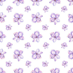 Seamless pattern with small purple flowers. Watercolor botanical illustration. Ditsy ornament. Hand drawn lavender, lilac on a white background. For wrapping paper, fabrics, textile, clothing