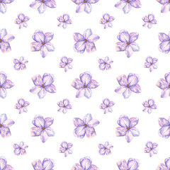 Seamless pattern with small purple flowers. Watercolor botanical illustration. Ditsy ornament. Hand drawn lavender, lilac on a white background. For wrapping paper, fabrics, textile, clothing