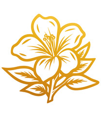 Hand drawn azalea flower . Sketch of azalea flower with leaves and stem . golden vintage etching vector botanical isolated on transparent. Illustration of botany floral plant, PNG and SVG