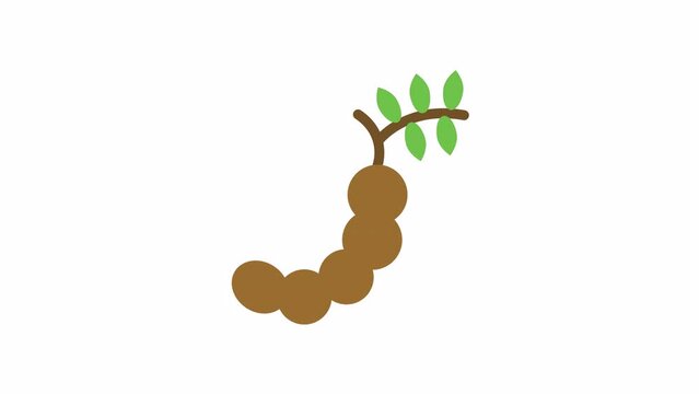 Tamarind, Fruits animated icon on transparent background.
