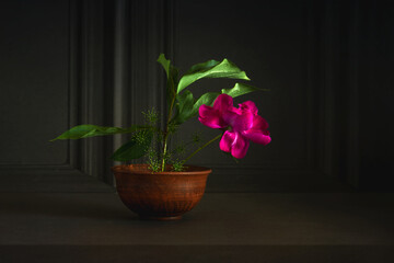 Simple composition with flowers on a dark background. Minimalism.
