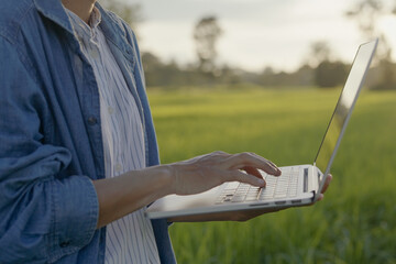 Young asian woman farmer using laptop computer in cultivated paddy field in sunrise, modern...