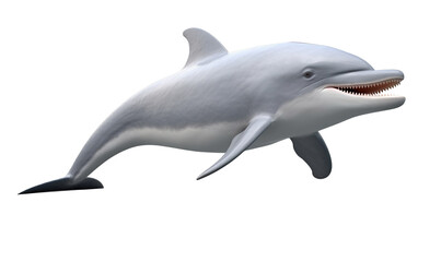Obraz premium dolphin isolated on white background HD 8K wallpaper Stock Photographic Image
