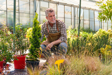 A vibrant, colorful photograph capturing a smiling elderly Caucasian gardener arranging ornamental plants and fruit trees in a botanical nursery.