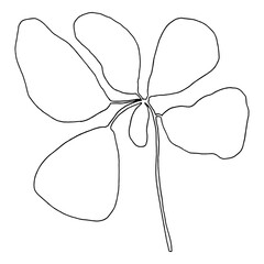 flower blossom with you and me