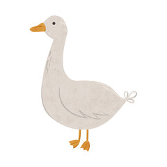 Cute goose. Digital hand drawn illustration with little farm animal bird for textile design, education, baby shower, children prints. Drawing of character in cartoon style on isolated background.
