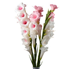 bouquet of white tulips isolated.Gladiolus Flower ‘Prins Claus’ Vase Arrangements transparent.Gladiolus Flower PNG. Flower vase PNG. minimalist flower vase. Generative AI.