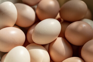 Eggs in a box. Close-up.